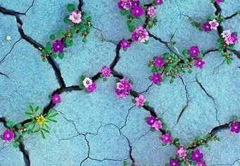 How to build resilience when you feel stressed