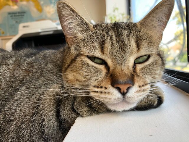 Low activity at work?  Some tips to refocus